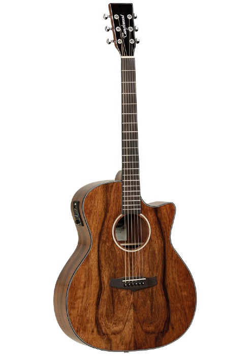 Evolution Exotic E Venetian Cutaway Pacific Walnut