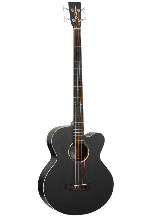 Blackbird Acoustic Bass