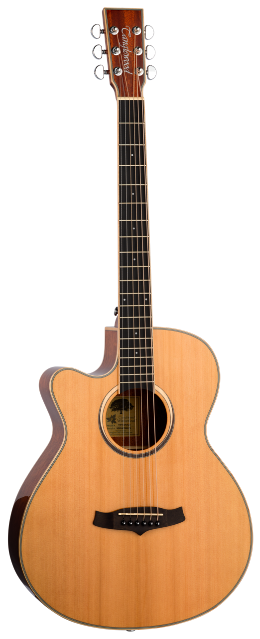 Winterleaf Cedar 4 CE NA LH