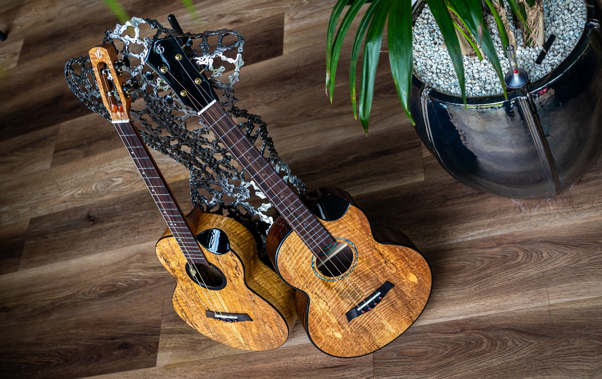 Royal - Solid Tone Wood Series